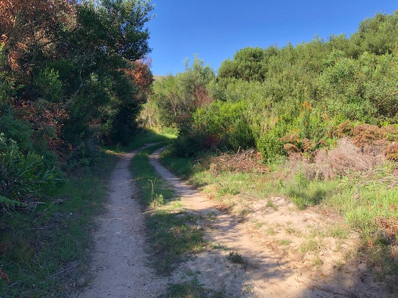 0 Bedroom Property for Sale in Baardskeerdersbos Western Cape